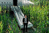 Фильм «На солнце, вдоль рядов кукурузы»