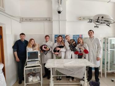 Будущие ветеринарные врачи учились делать УЗИ животным Будущие ветеринарные врачи учились делать УЗИ животным
