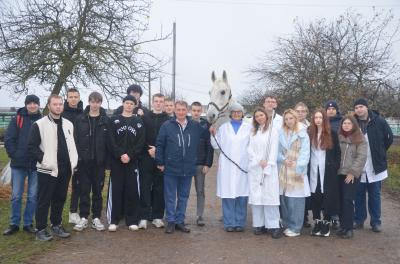 Мастер классы на учебной спортивной конюшне Мастер классы на учебной спортивной конюшне