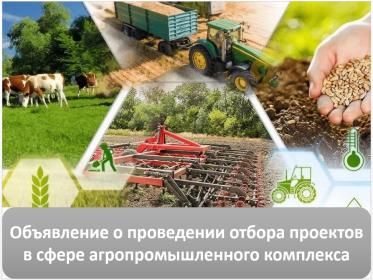 Объявлен очередной отбор ключевых проектов в сфере АПК Объявлен очередной отбор ключевых проектов в сфере АПК