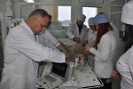 Предметная олимпиада по «Ветеринарной хирургии» 