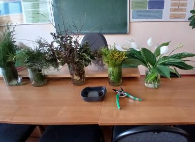 Занятие слушателей по программе профессионального обучения «Флористика» на тему «Икебана – восточная философия флористики» Занятие слушателей по программе профессионального обучения «Флористика» на тему «Икебана – восточная философия флористики»