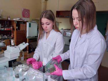 Программа профессионального обучения доказала свою эффективность и востребованность Программа профессионального обучения доказала свою эффективность и востребованность
