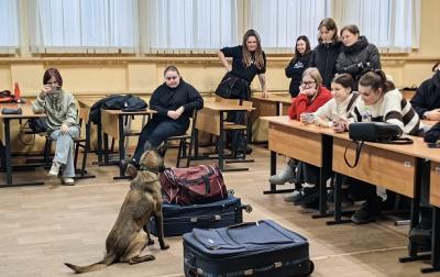 Профессиональное обучение собаководству в институте ДПО Брянского ГАУ набирает популярность Профессиональное обучение собаководству в институте ДПО Брянского ГАУ набирает популярность