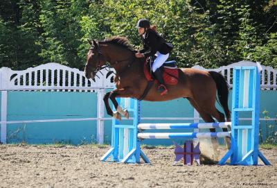 Турнир по конному спорту (конкур), посвященный Дню знаний Турнир по конному спорту (конкур), посвященный Дню знаний