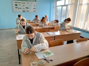 Занятие, сделавшее студентов-агрономов исследователями Занятие, сделавшее студентов-агрономов исследователями