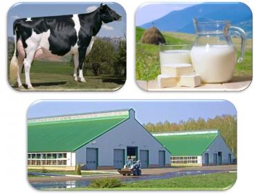 Международная научно-практическая конференция  «Селекционно-генетические и эколого-технологические проблемы повышения долголетнего продуктивного использования молочных и мясных коров»