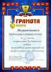 1-е место в первенстве Трубчевского района по волейболу