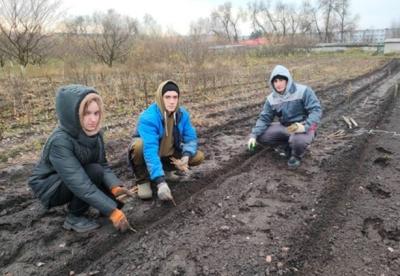 Практика, дающая профессиональный опыт Практика, дающая профессиональный опыт