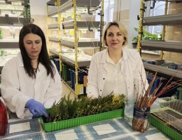 Профессиональный курс, который научит творить красоту Профессиональный курс, который научит творить красоту