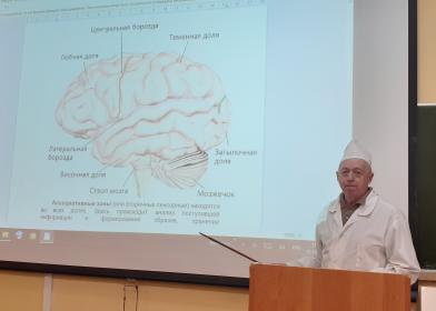 «ЦНС: миллиард клеток, высочайшая упорядоченность» «ЦНС: миллиард клеток, высочайшая упорядоченность»