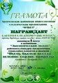 Районный конкурс экологических социальных плакатов