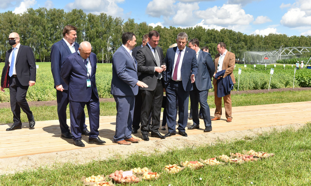 На выставке «Всероссийский день поля» было представлено более 450 сортов сельскохозяйственных культур