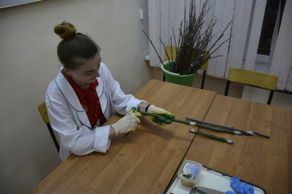 Финал VIII Национального чемпионата «Молодые профессионалы» (Worldskills Russia) компетенция Агрономия